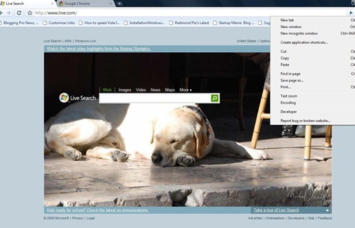 Page Options