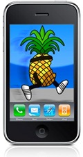iPhone 3.1 Jailbreak