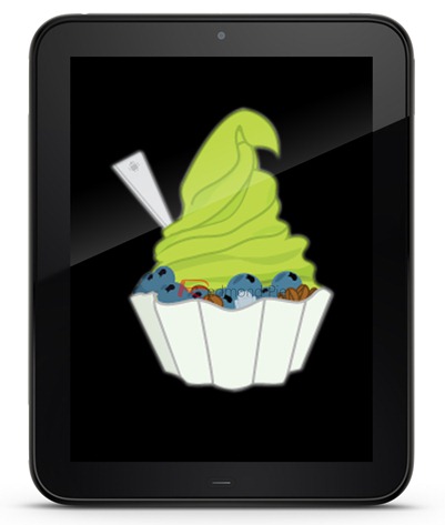 TouchPad Froyo